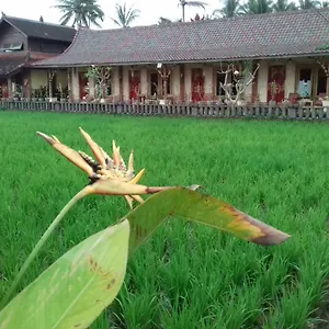 5* Guest house Rice Padi Artha