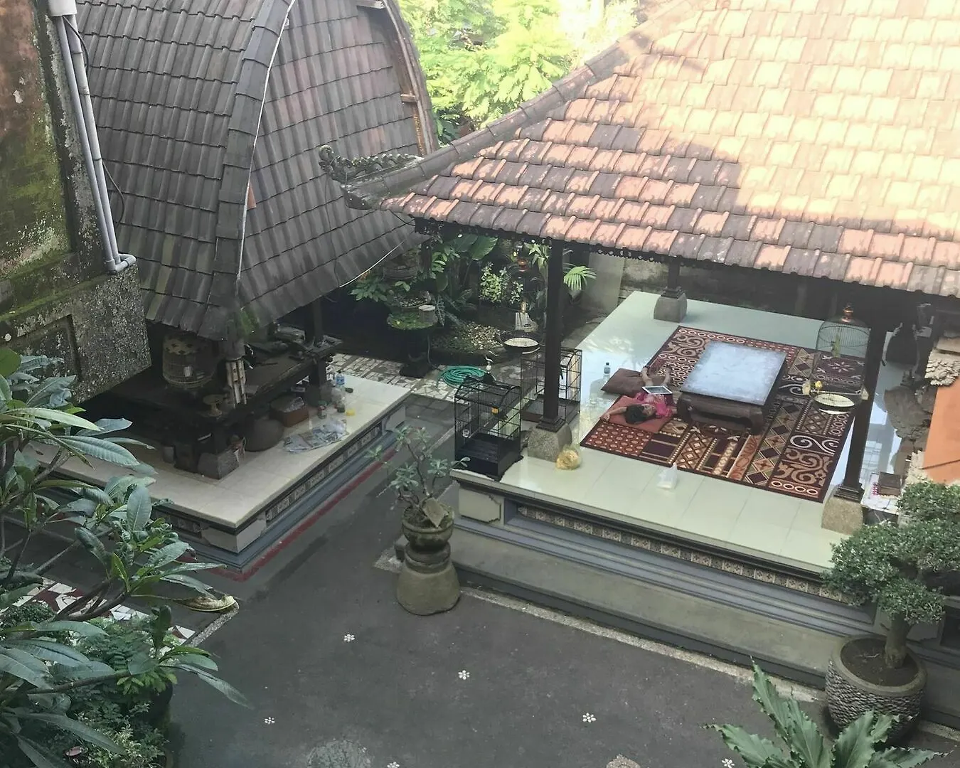 Guest house Kacu Ubud Inn