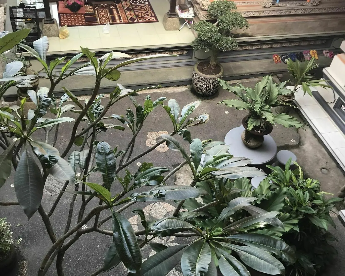 Kacu Ubud Inn